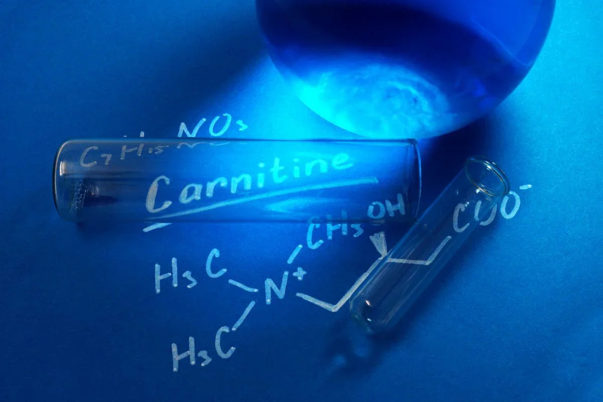 Carnitine: welke soort is geschikt voor u? Carnitine: welke soort is geschikt voor u?