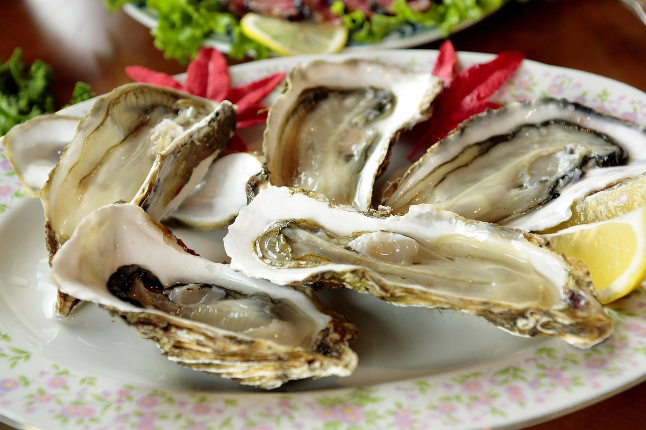 Waarom je oesters zou moeten eten!