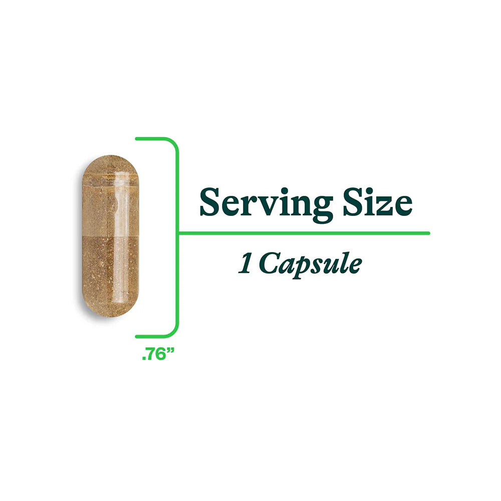 Ox Bile - Ossengal - 120 capsules