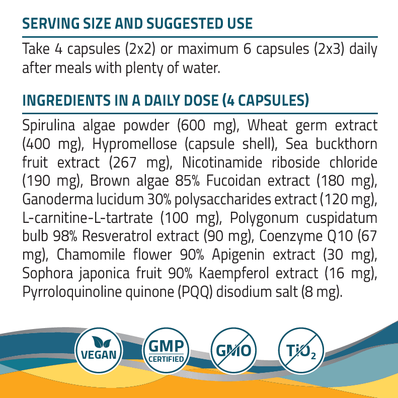 SteNR - 120 capsules