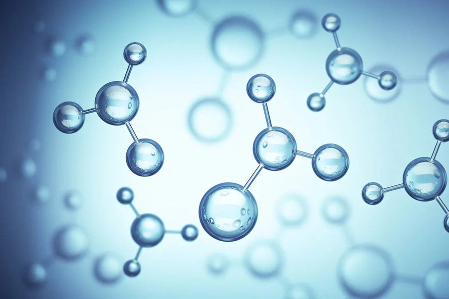 700 miljoen jaar melatonine - één van de oudste biologisch actieve moleculen - Ergomax