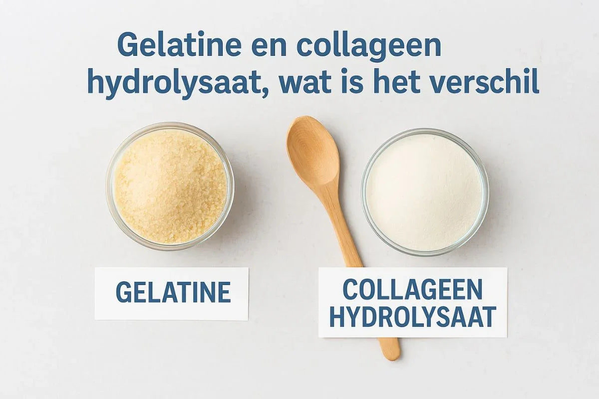  Gelatine en Collageen hydrolysaat poeder