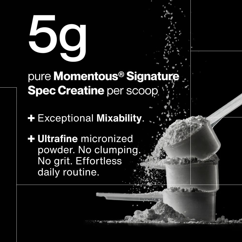 Creatine Poeder - 450 gram