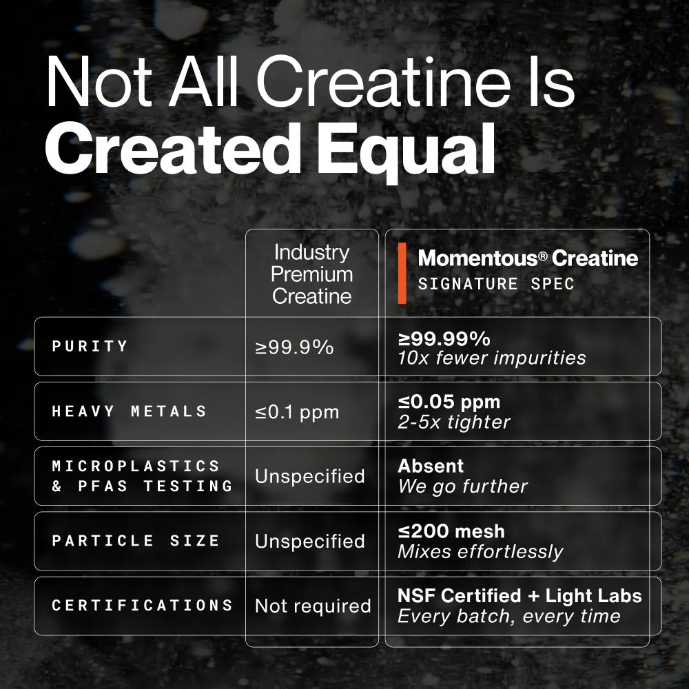 Creatine Poeder - 450 gram