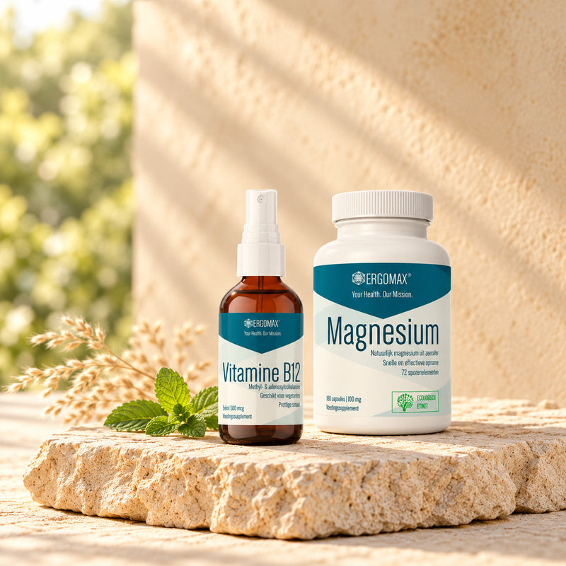 Vitaliteit & Energie