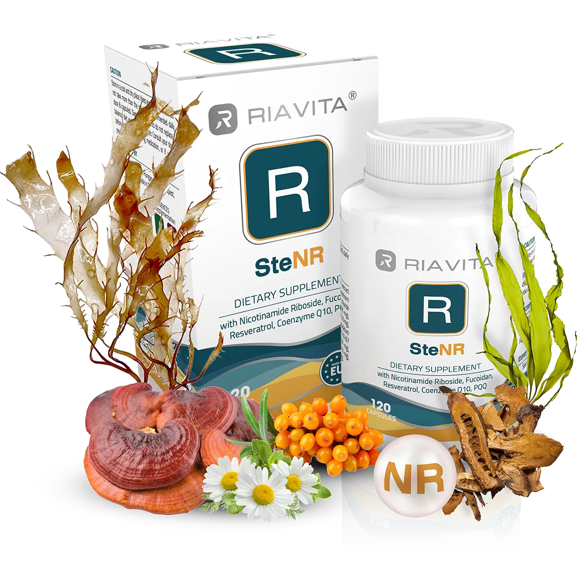 SteNR - 120 capsules
